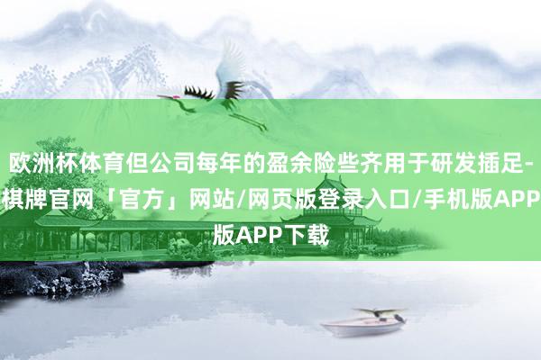 欧洲杯体育但公司每年的盈余险些齐用于研发插足-亚博棋牌官网「官方」网站/网页版登录入口/手机版APP下载
